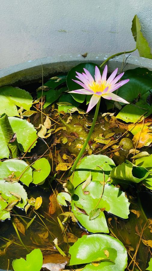 Kiara Sands Banduramulla Ngoại thất bức ảnh